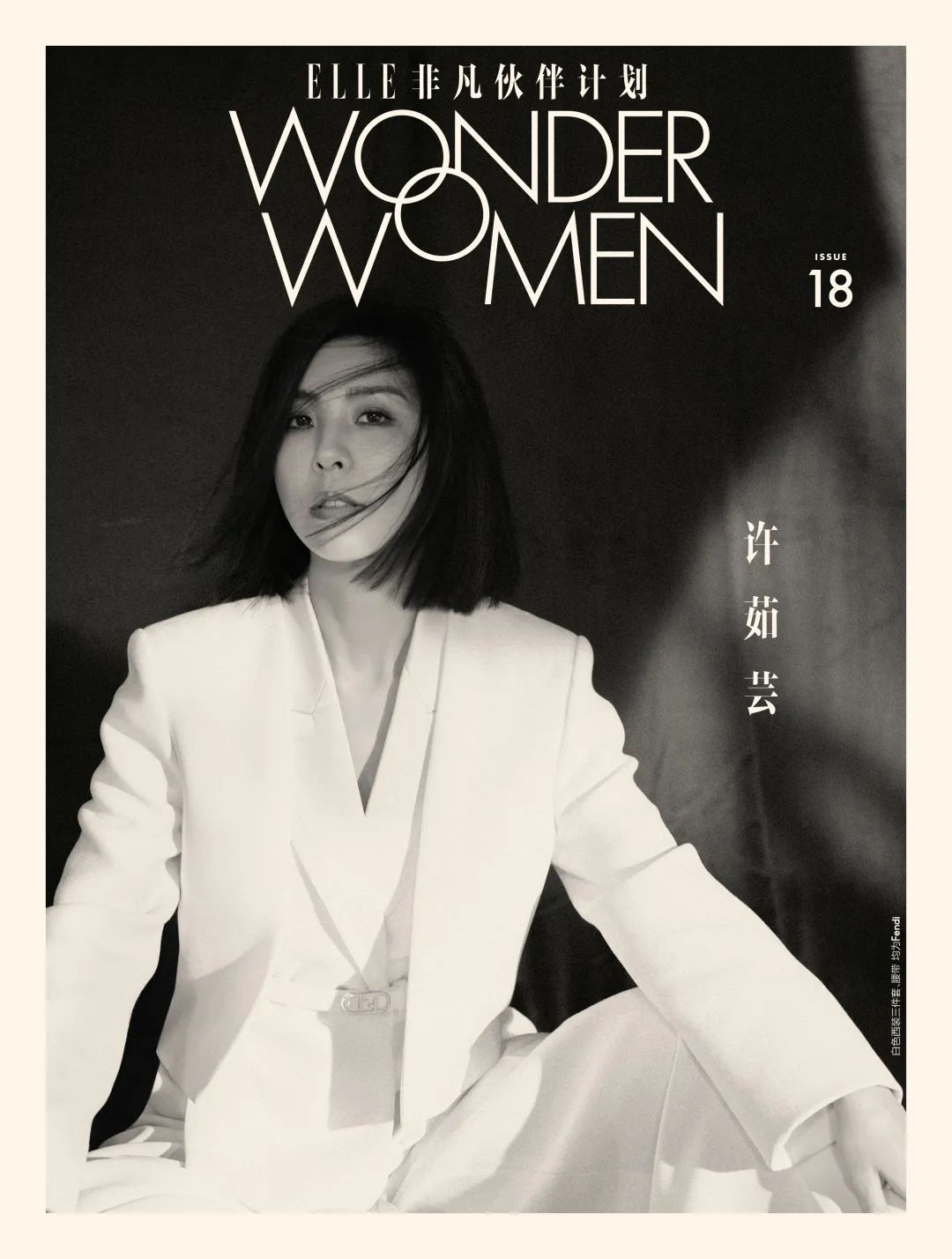 许茹芸资料 :情歌留给勇敢的人