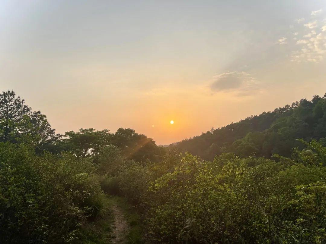 许茹芸资料 :情歌留给勇敢的人