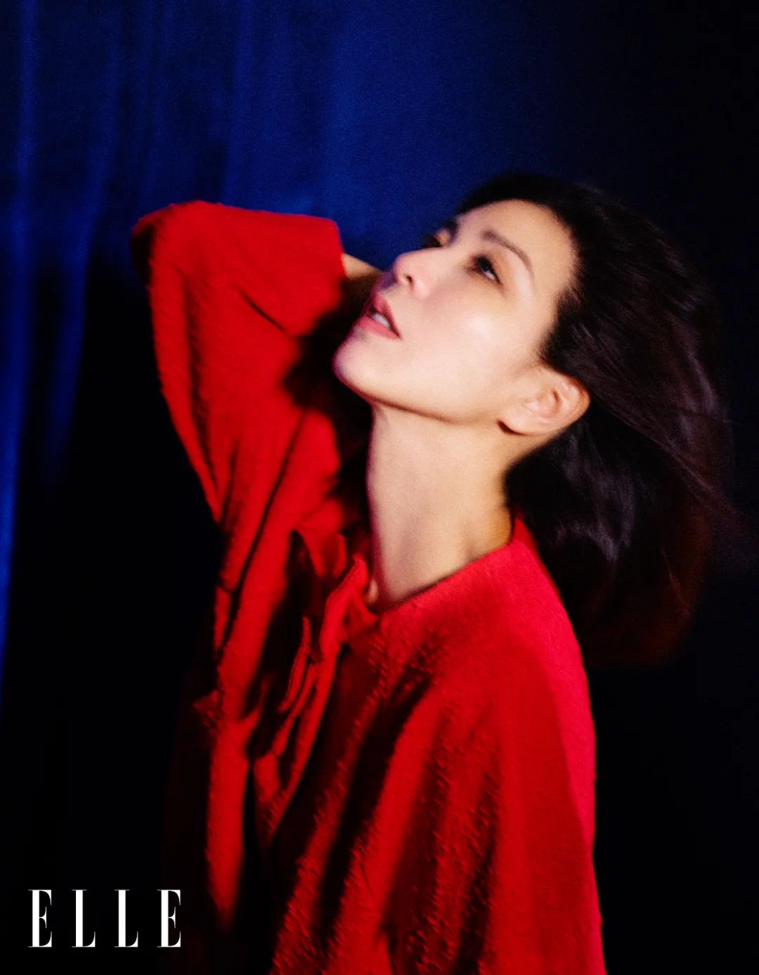 许茹芸资料 :情歌留给勇敢的人