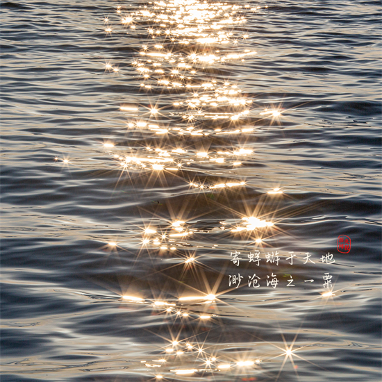 苏轼简介资料(苏东坡,986岁生日快乐!)