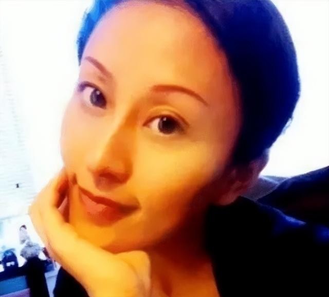 杨子的背景个人资料(起底杨子的家世)