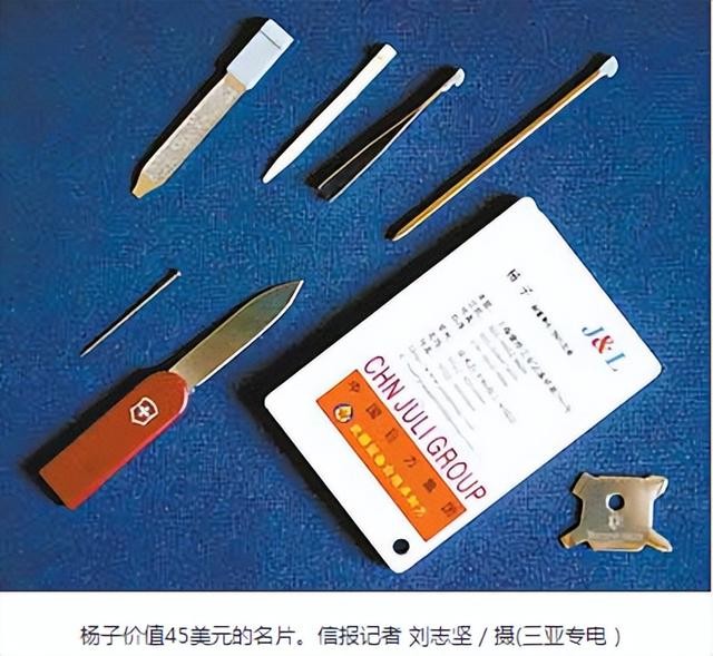 杨子的背景个人资料(起底杨子的家世)