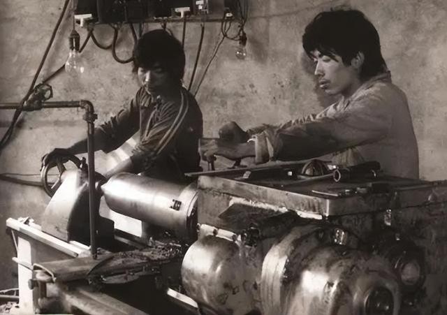 杨子的背景个人资料(起底杨子的家世)