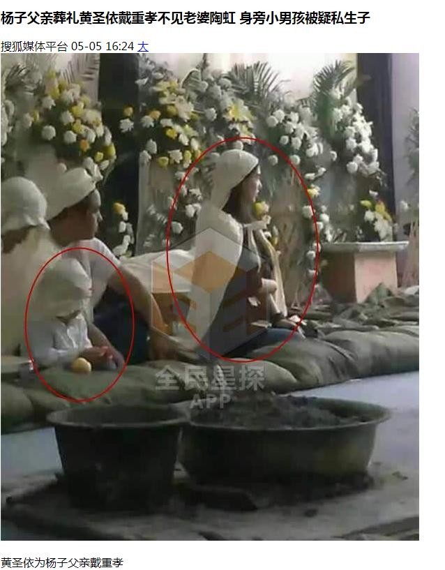 杨子的背景个人资料(起底杨子的家世)