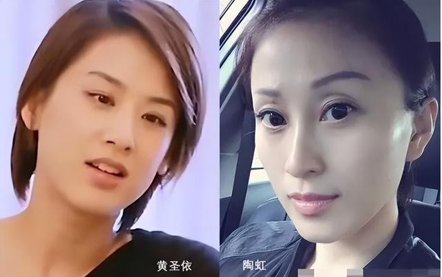 杨子的背景个人资料(起底杨子的家世)