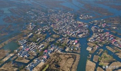 衡水老白干天柔价格(衡水老白干38O柔价格)