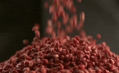 懒毛酒53度多少钱