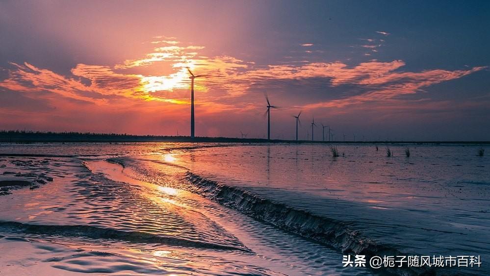 南通有几个区县(南通有几个区几个县)