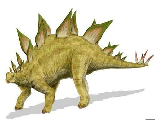 知名度最高的恐龙(恐龙种类名字图片大全)