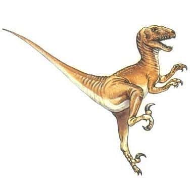 知名度最高的恐龙(恐龙种类名字图片大全)