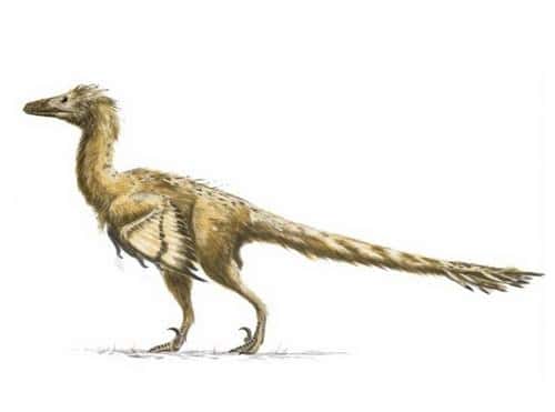 知名度最高的恐龙(恐龙种类名字图片大全)