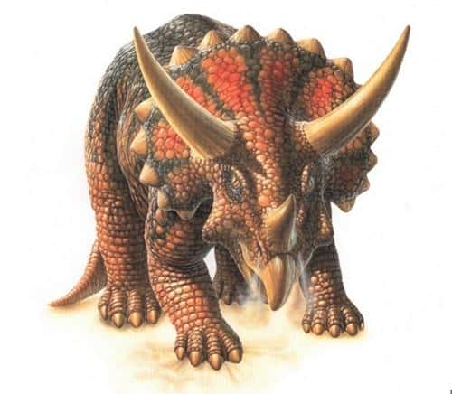 知名度最高的恐龙(恐龙种类名字图片大全)