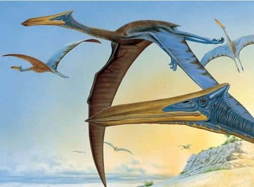 知名度最高的恐龙(恐龙种类名字图片大全)