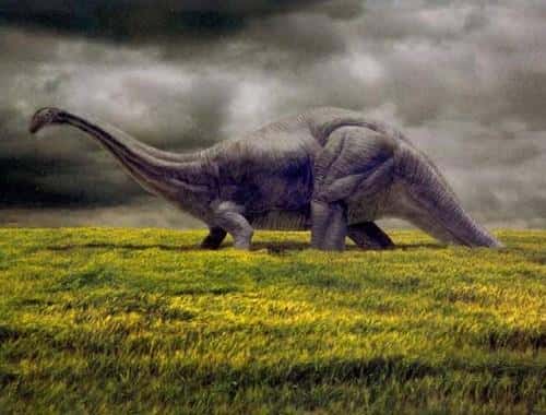 知名度最高的恐龙(恐龙种类名字图片大全)