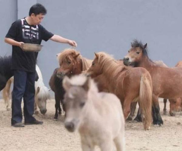 于谦:娶19岁女学生,不赚钱时靠老婆养,两个儿子归郭德纲管