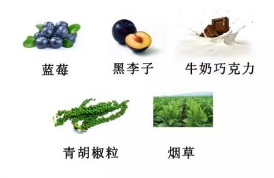 ​飘金西拉红葡萄酒介绍  黄金跳跃西拉干红葡萄酒