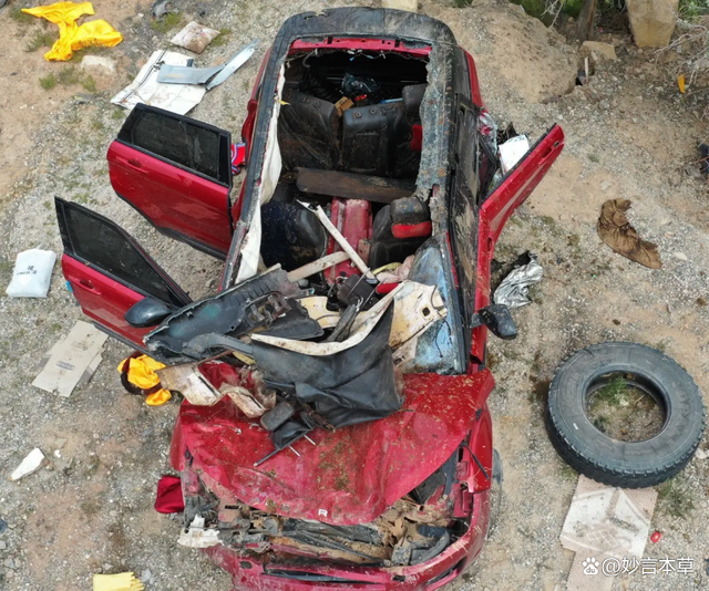 于月仙车祸中，司机受到了什么刑罚？撞骆驼符合交通肇事罪吗？-