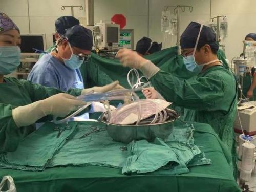 上海遗体捐献怎么申请(上海遗体捐献流程)-第2张图片-