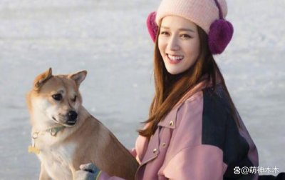 ​众星接力为狗发声，遭质问谁为被咬女童发声：难道人不如狗？