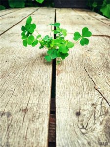 一句话签名励志短句(早安签名励志一句话)