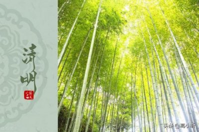 清明节能洗衣服吗?(清明节能洗澡洗衣服吗)