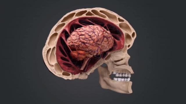 为了避免车祸,未来人都进化成了这幅模样,丑到不忍直视-