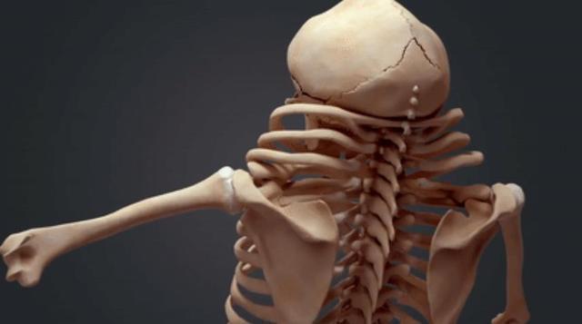 为了避免车祸,未来人都进化成了这幅模样,丑到不忍直视-