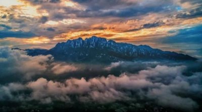 雪津麦之初11度价格500 雪津麦之初250ml