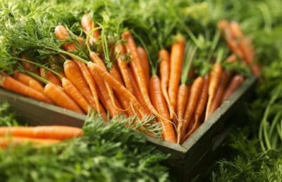 ​胡萝卜有点甜糖尿病人是否能吃 胡萝卜日常食谱大全