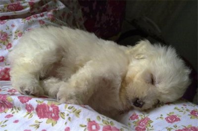 ​纠结！30万的宝马535GT该不该买? 收藏