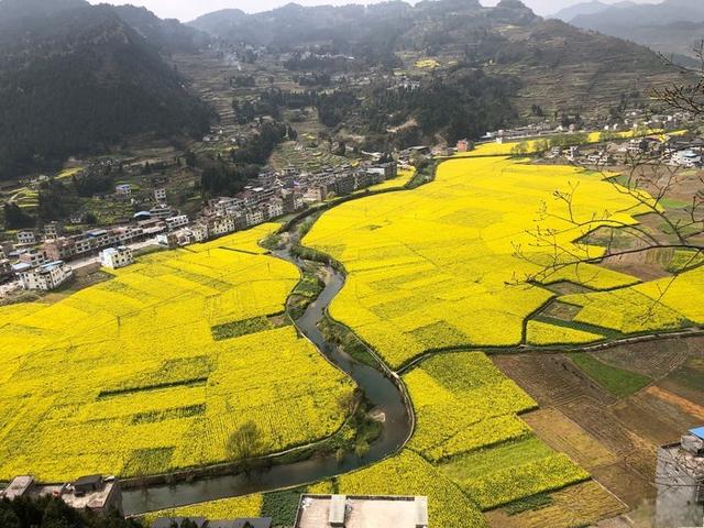 八年了，我的爱车高尔夫你依然那么6-