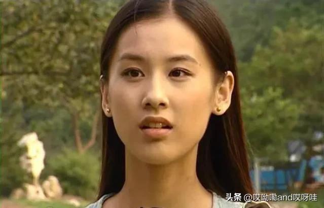 杨子为什么娶黄圣依(黄圣依为什么要嫁给杨子)