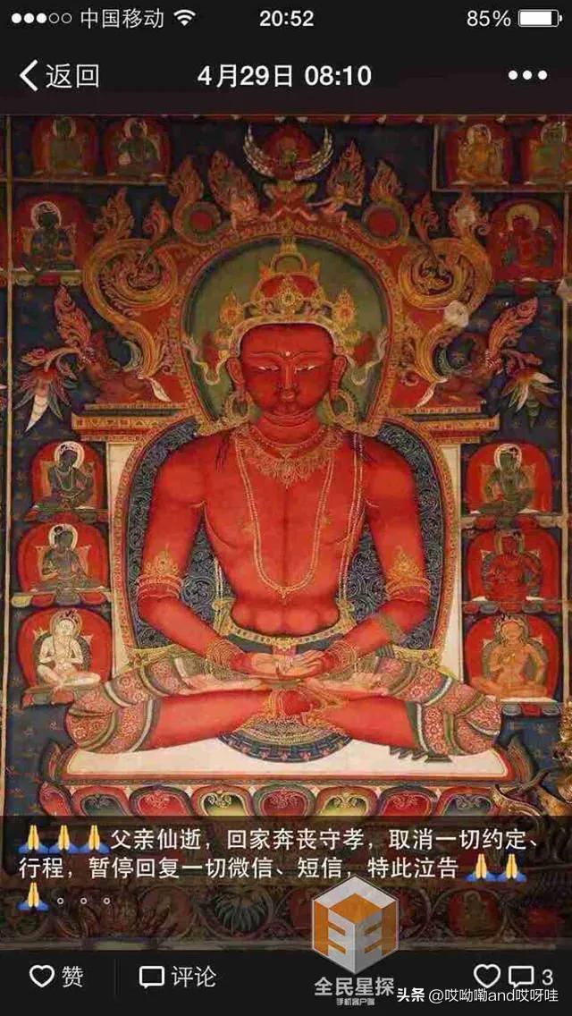 杨子为什么娶黄圣依(黄圣依为什么要嫁给杨子)