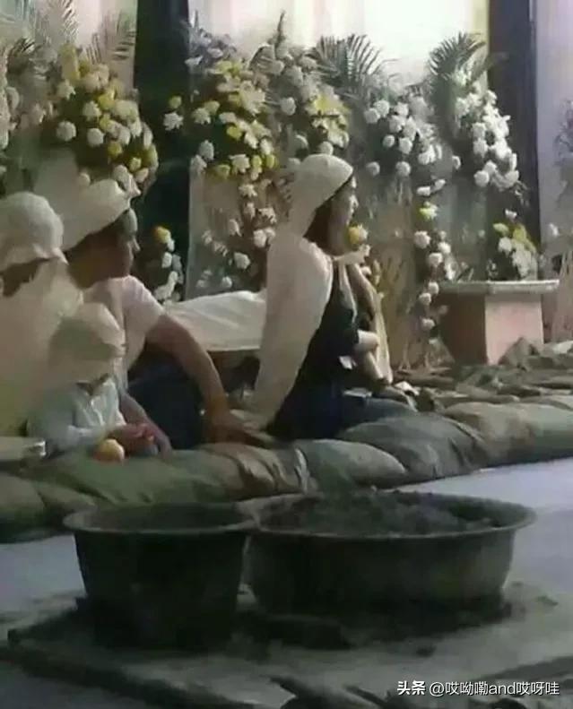 杨子为什么娶黄圣依(黄圣依为什么要嫁给杨子)