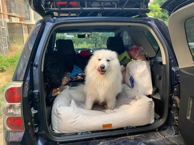 最终圆了自己儿时梦,淘到三门2.4超级维特拉并谈谈用车感受-