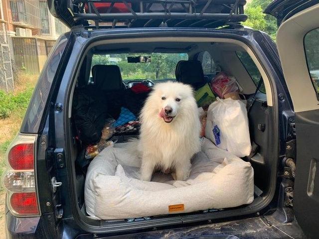 最终圆了自己儿时梦,淘到三门2.4超级维特拉并谈谈用车感受-