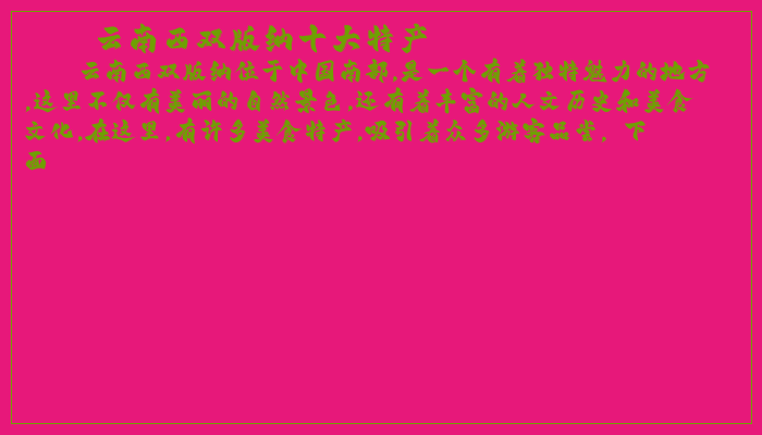 云南西双版纳十大特产