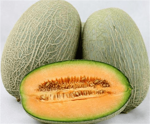 哈密瓜露天种植的时间和方法(哈密瓜一棵能结几个果)