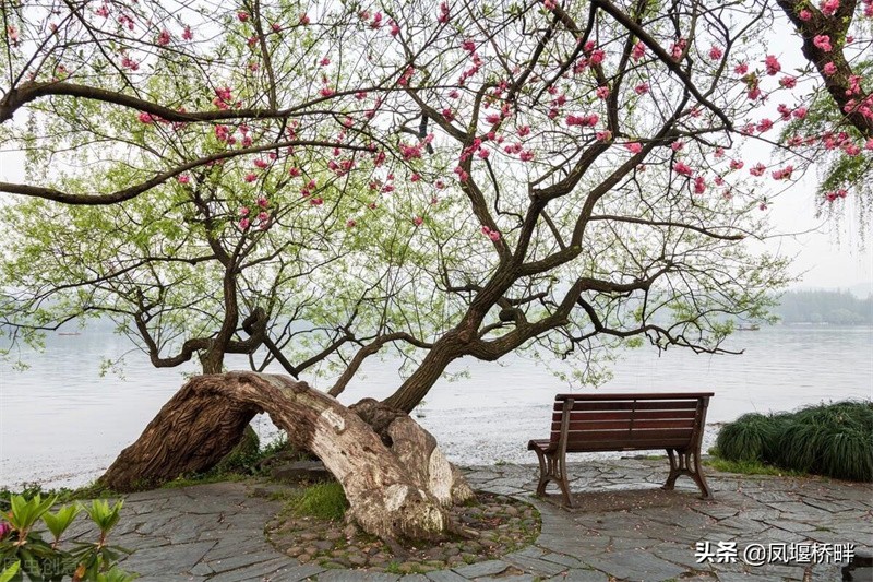 苏堤春晓的意思(苏堤春晓介绍)