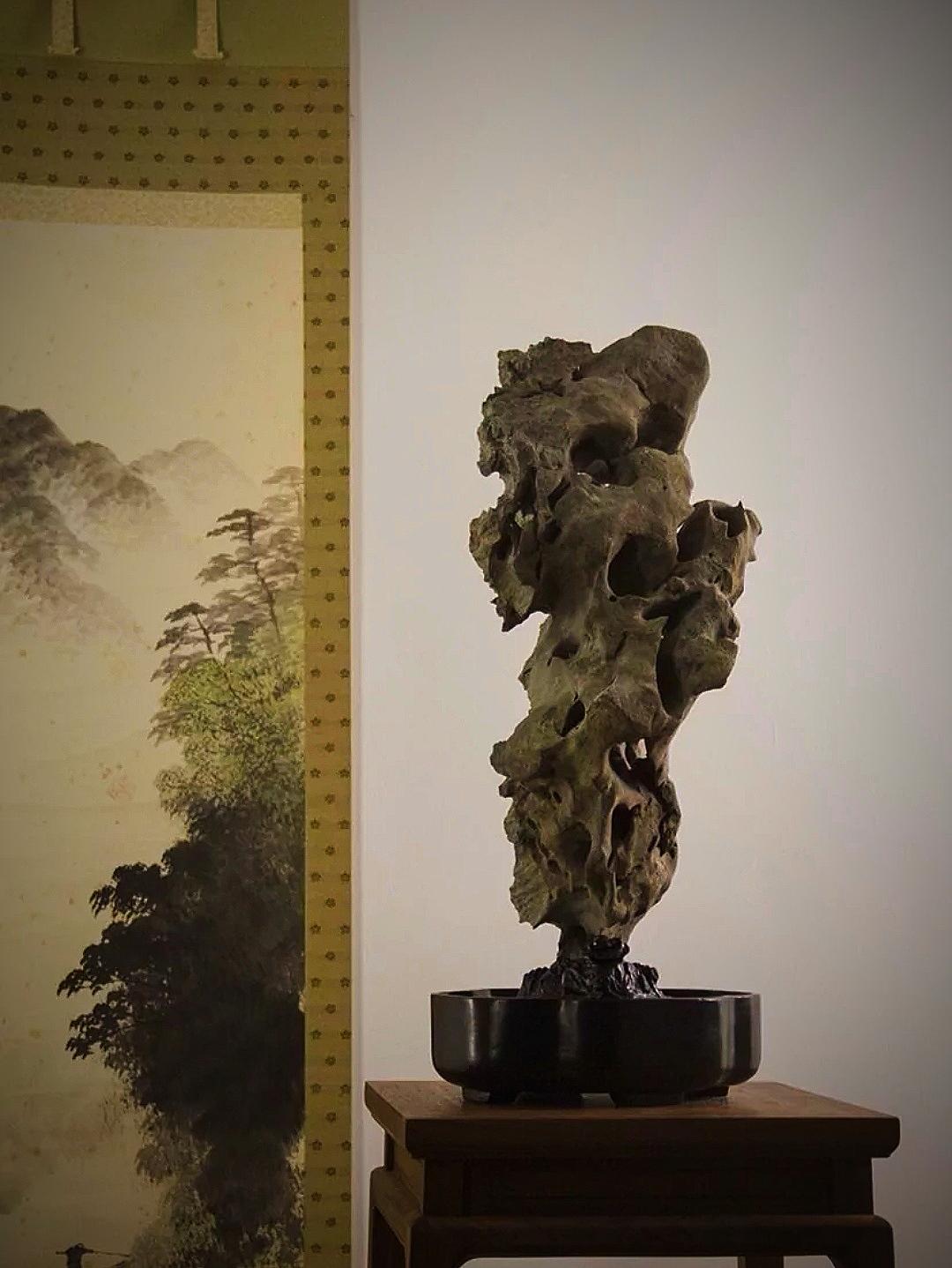 太湖石特点(太湖石的四个特点)