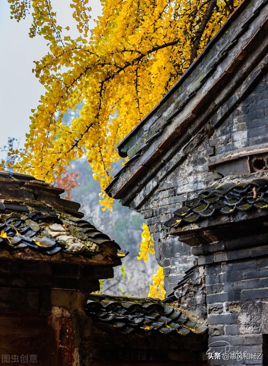 李清照声声慢秋情(声声慢·寻寻觅觅李清照讲解)