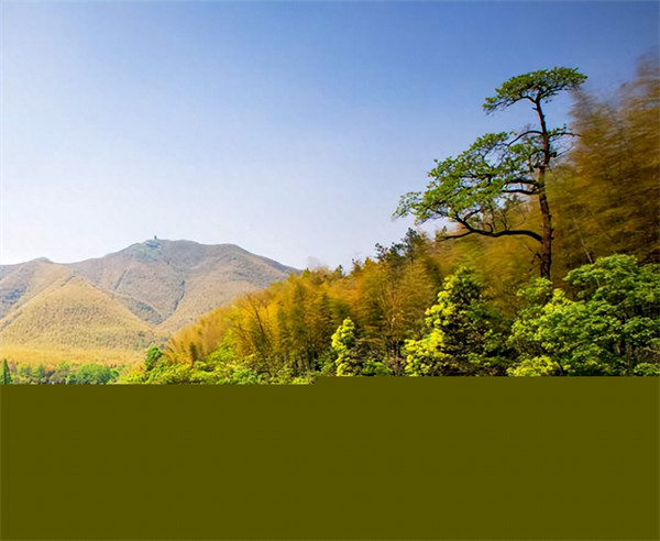 紫砂陶艺来自哪里(著名的紫砂壶产于哪里)