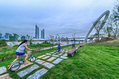 南京滨江公园的景点介绍(南京滨江公园左岸花海)