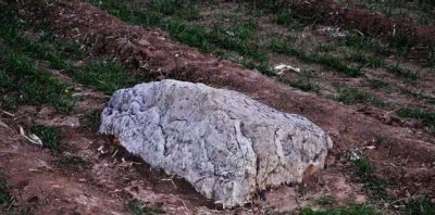 ​中国最矮的山有多高，不到1米的静山(看着像一块石头)