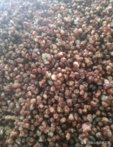 做白酒放几天好吃了?白酒要放多久