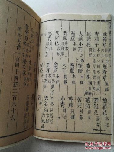 本草纲目李时珍简介 本草纲目李时珍明朝类比推理-第1张图片-