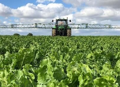 农业合作社起名大全集免费_农村农业合作社起名-第1张图片-