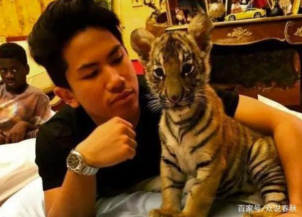 文莱王子：颜值不输吴尊、抱着老虎当宠物、家族有604辆劳斯莱斯-