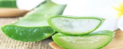 芦荟涂脸正确方法