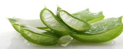 芦荟涂脸的功效与作用